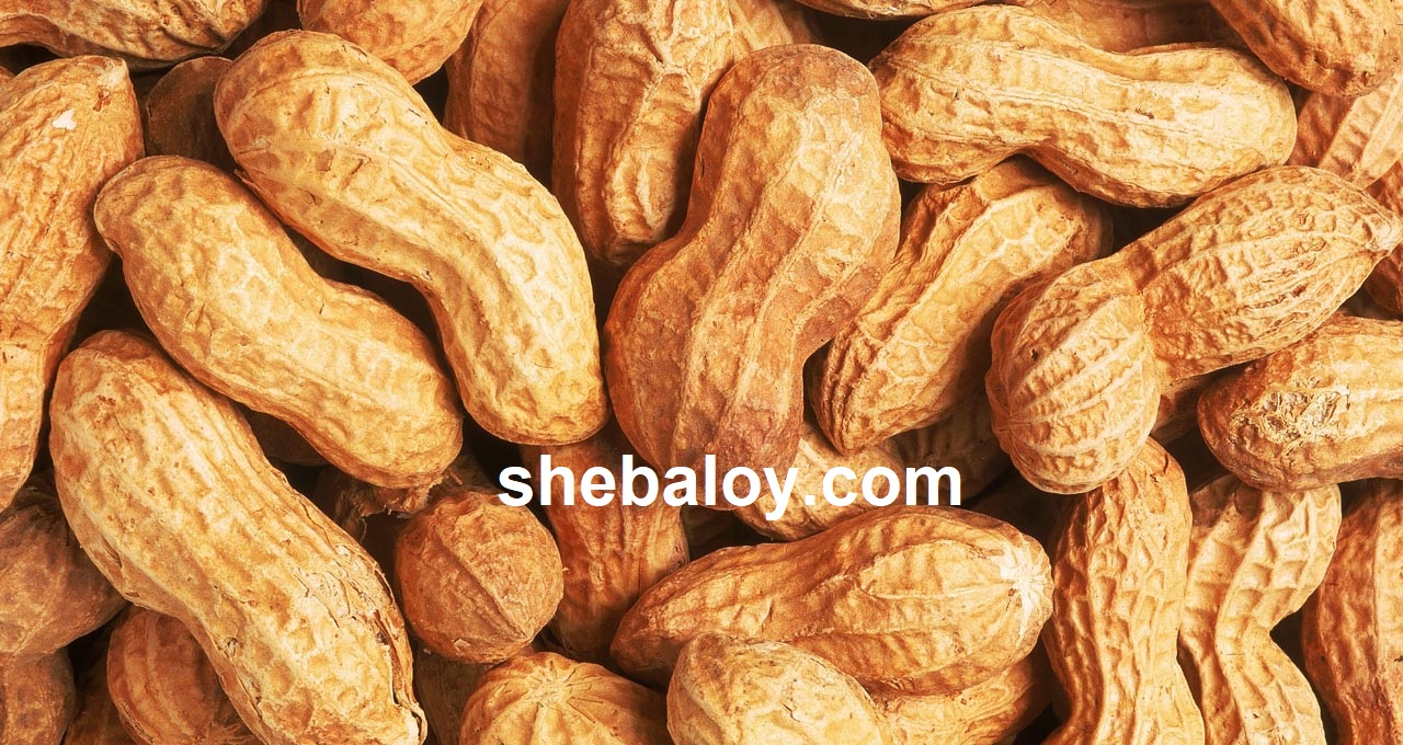 চীনা বাদাম (china nut) 1 KG